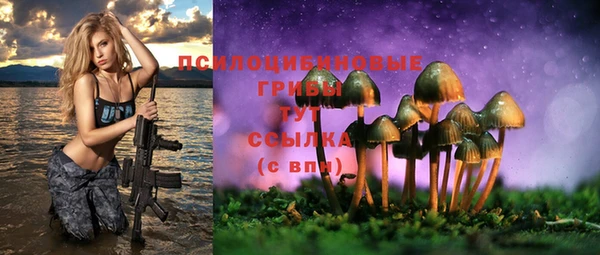 шишки Елизово