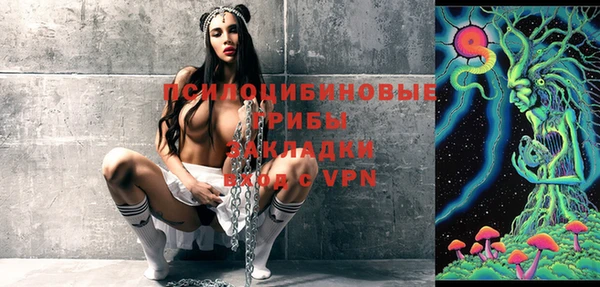 шишки Елизово